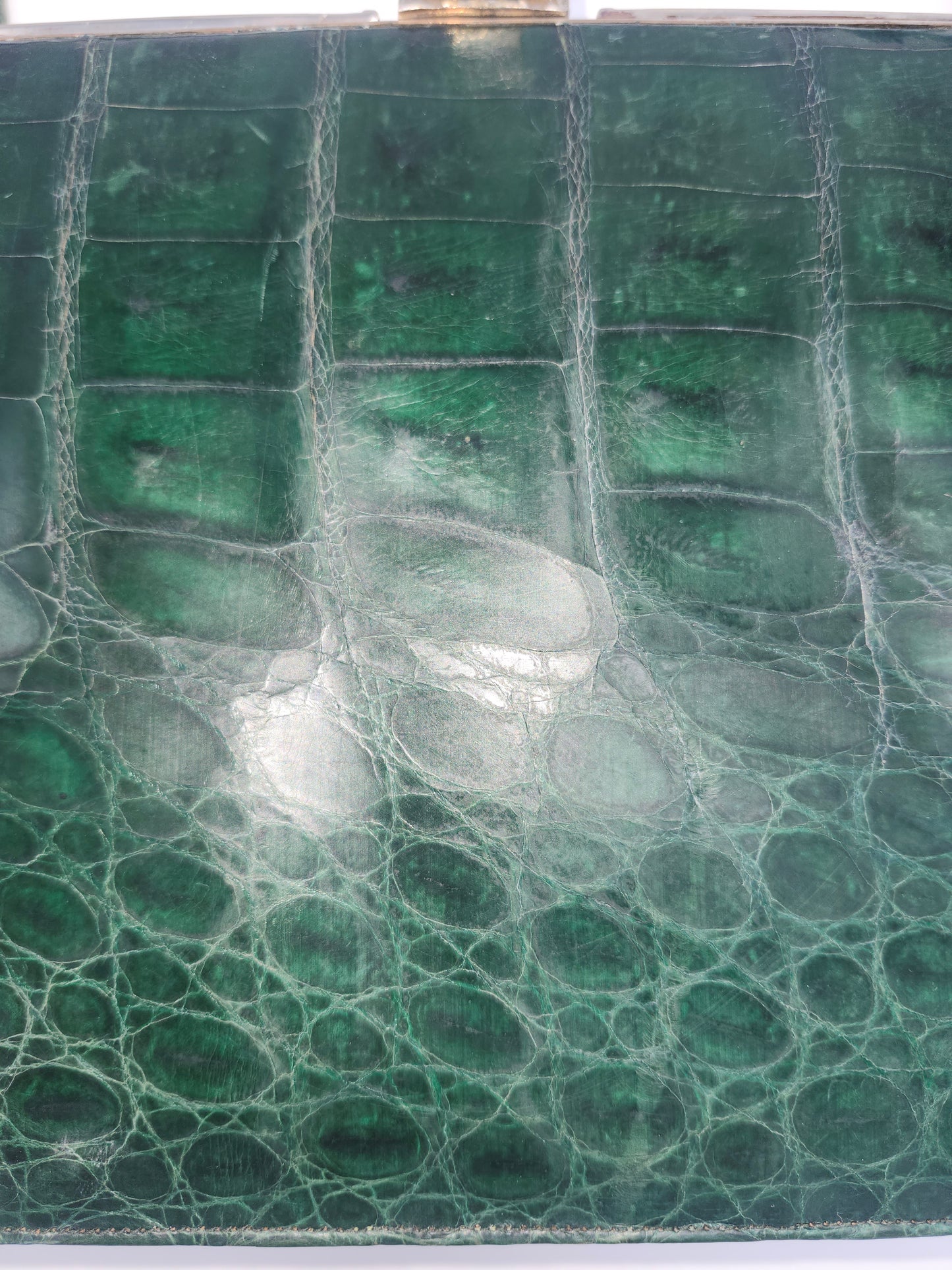 1950s Green Caiman Crocodile Leather Purse
