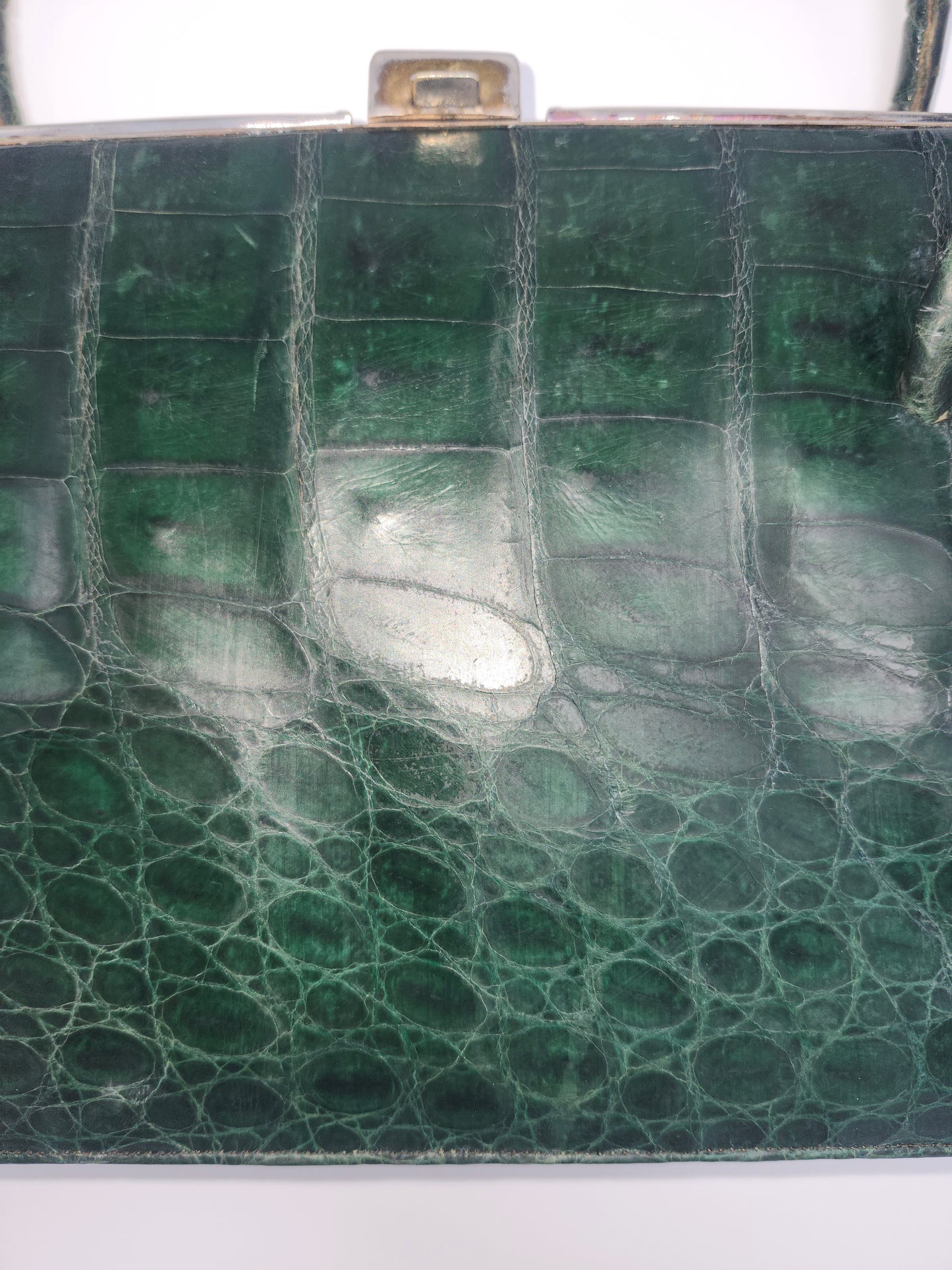 1950s Green Caiman Crocodile Leather Purse
