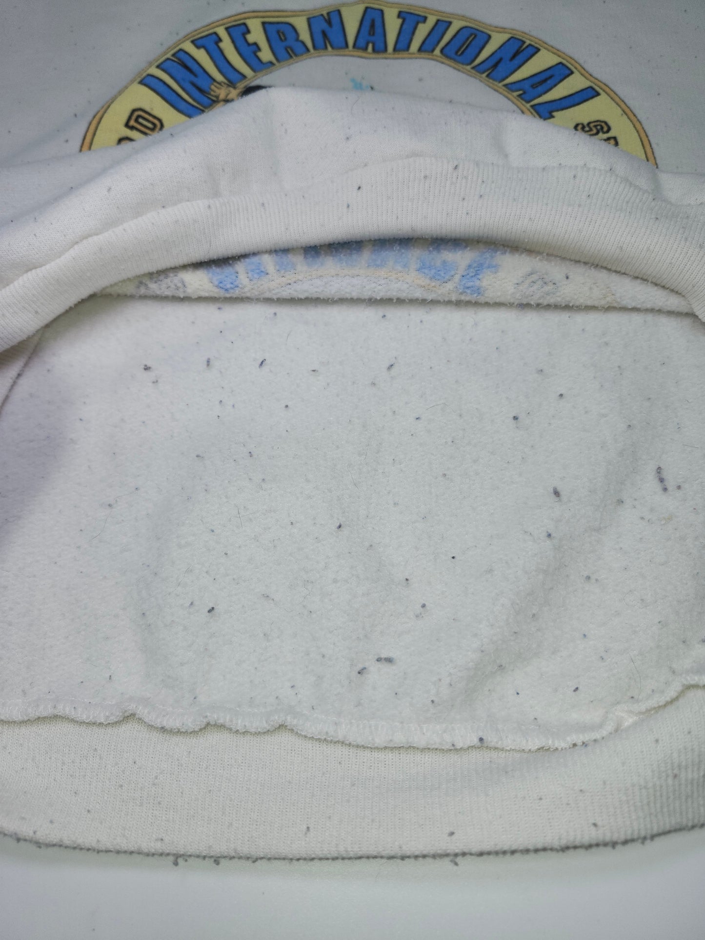 *Vintage* 1980s "International Snowboarding Alliance" Two-Toned Crewneck Sweater