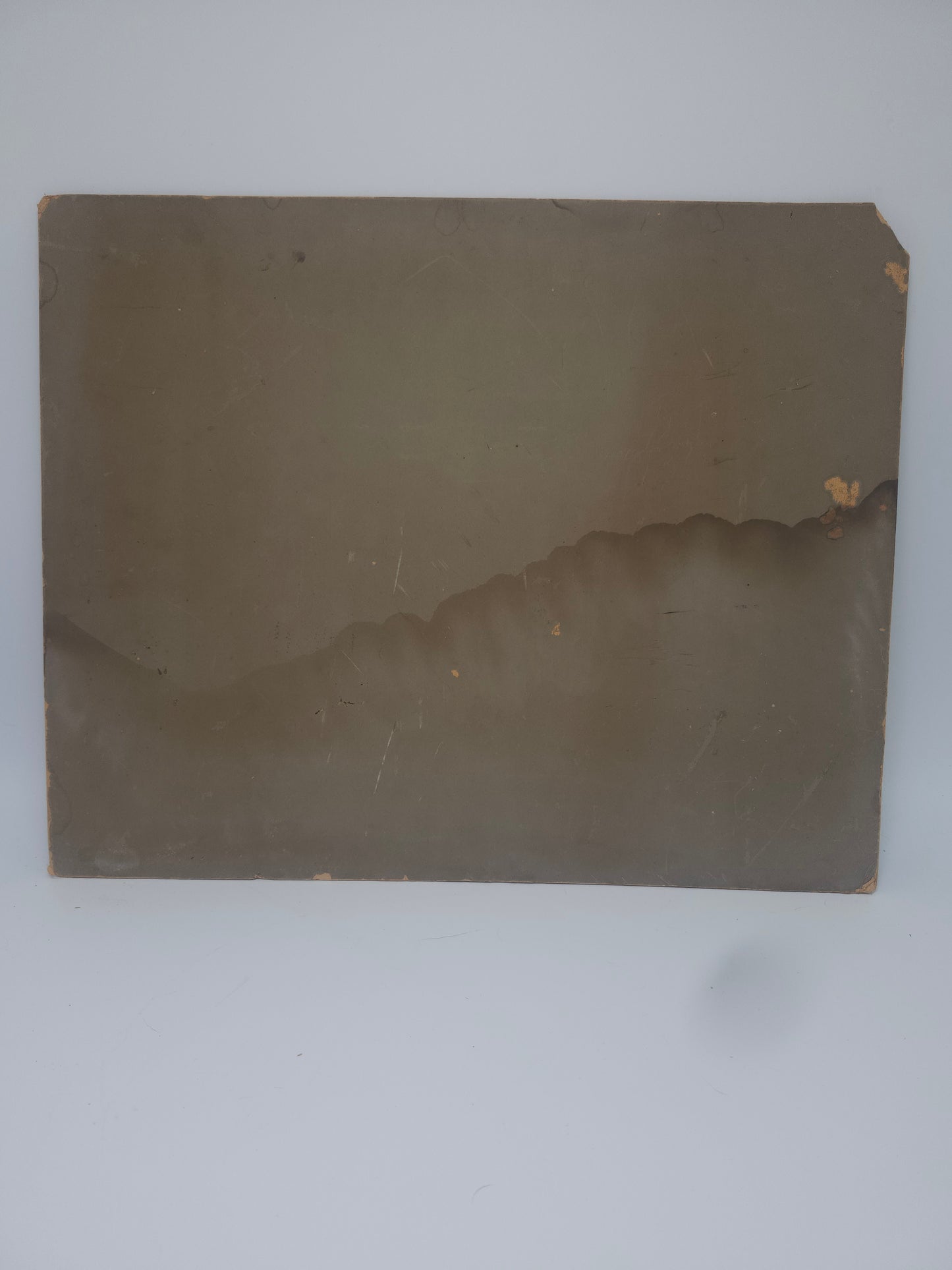 XXL Victorian Era Family Portrait *almost 2 feet tall