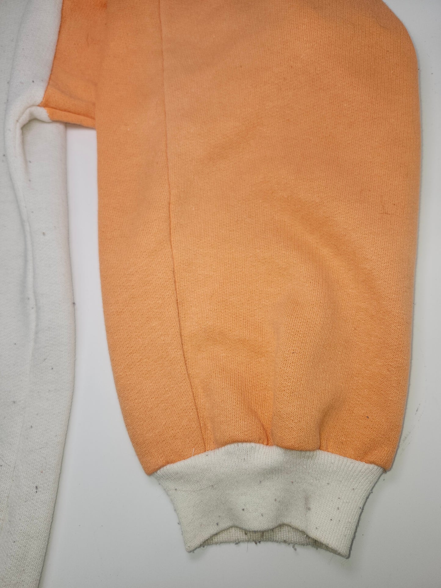 *Vintage* 1980s "International Snowboarding Alliance"  Two-Toned Crewneck Sweater