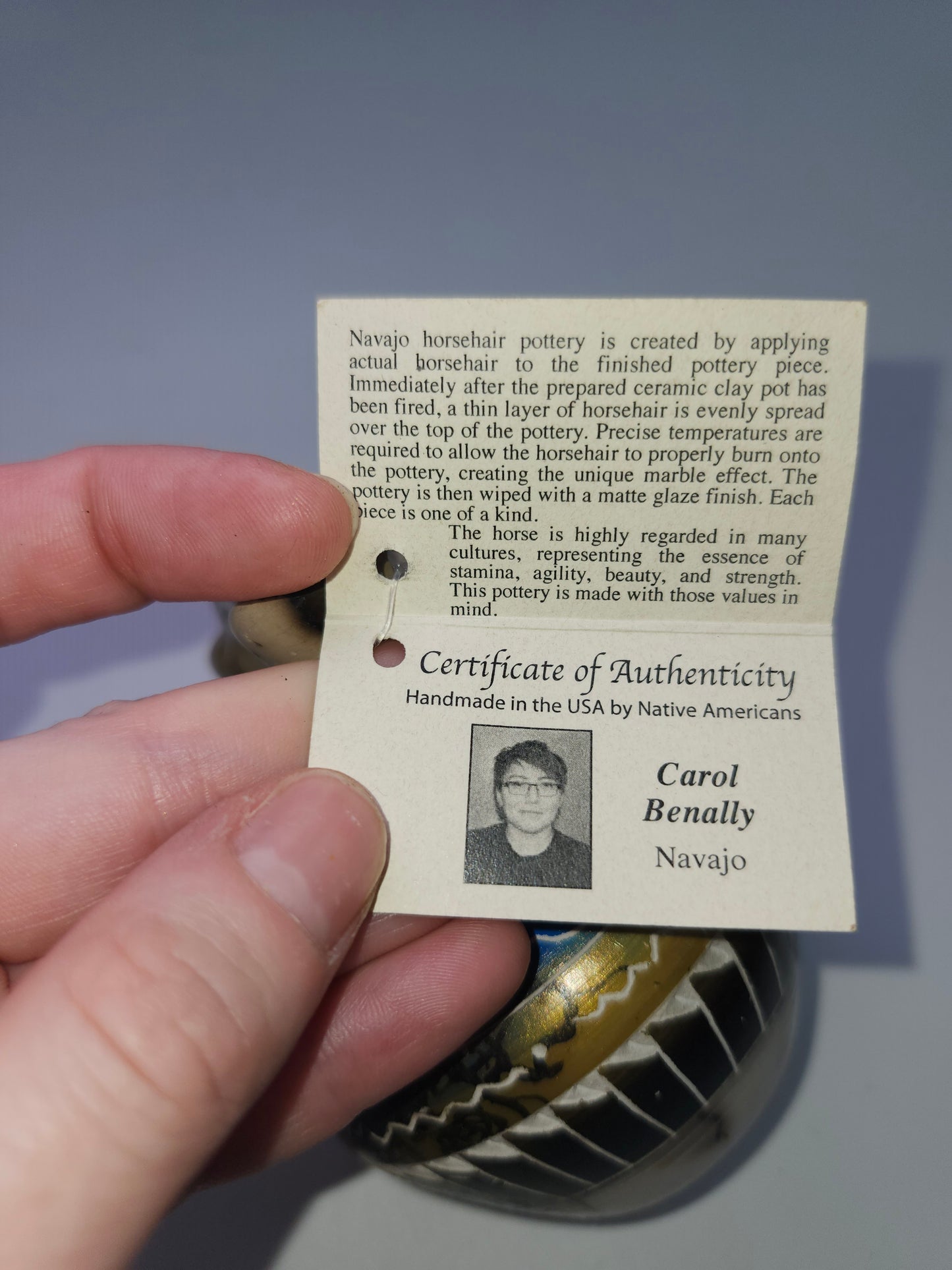 Navajo Horsehair Pottery by Carol Benally