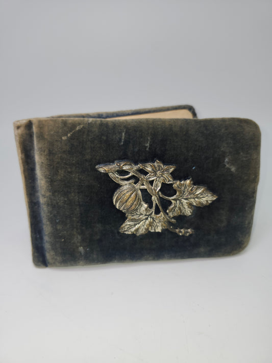 1890s Antique Victorian Velvet Autograph Book with Signatures