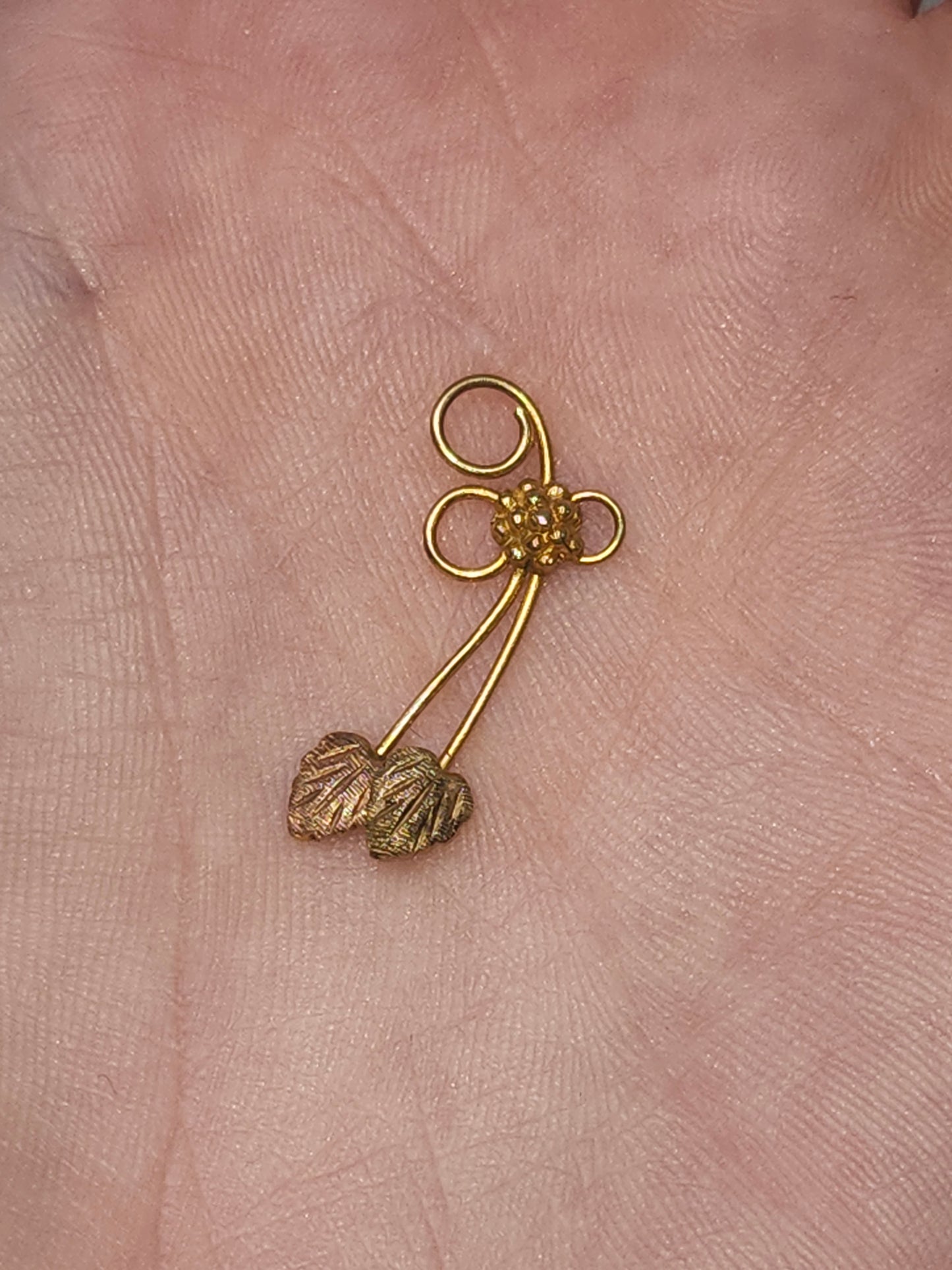 *10K Gold* Tri-Colored Grape & Leaves Pendant