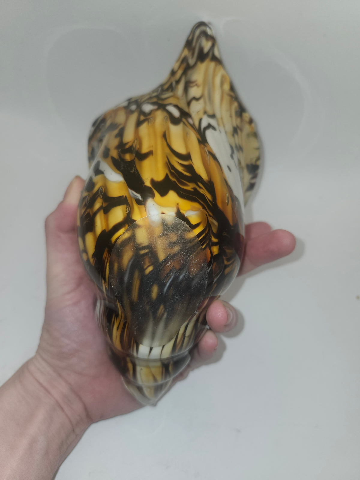 ~Murano Style~ Glass Multi-Color Shell Sculpture / Vase