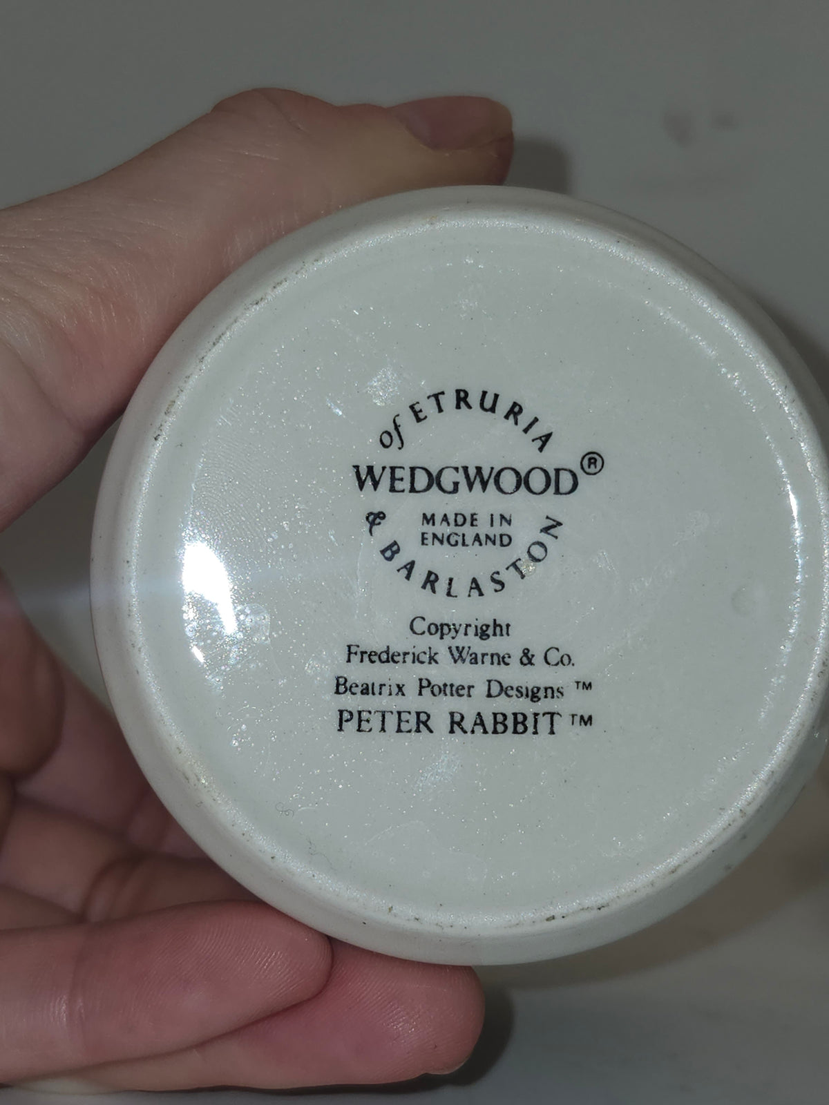 *Peter Rabbit* Wedgewood Porcelain Plate & Teacup Set