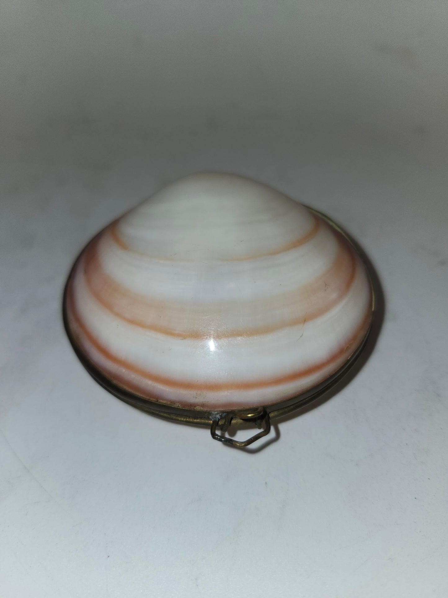 *Brass* Hinged Nautical Shell Trinket Box