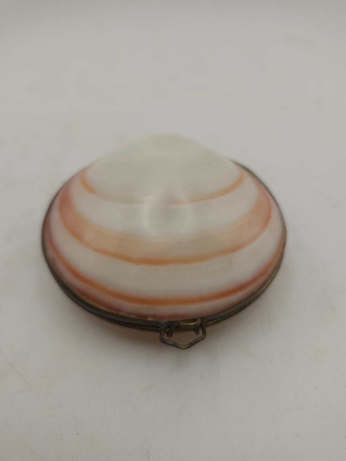 *Brass* Hinged Nautical Shell Trinket Box