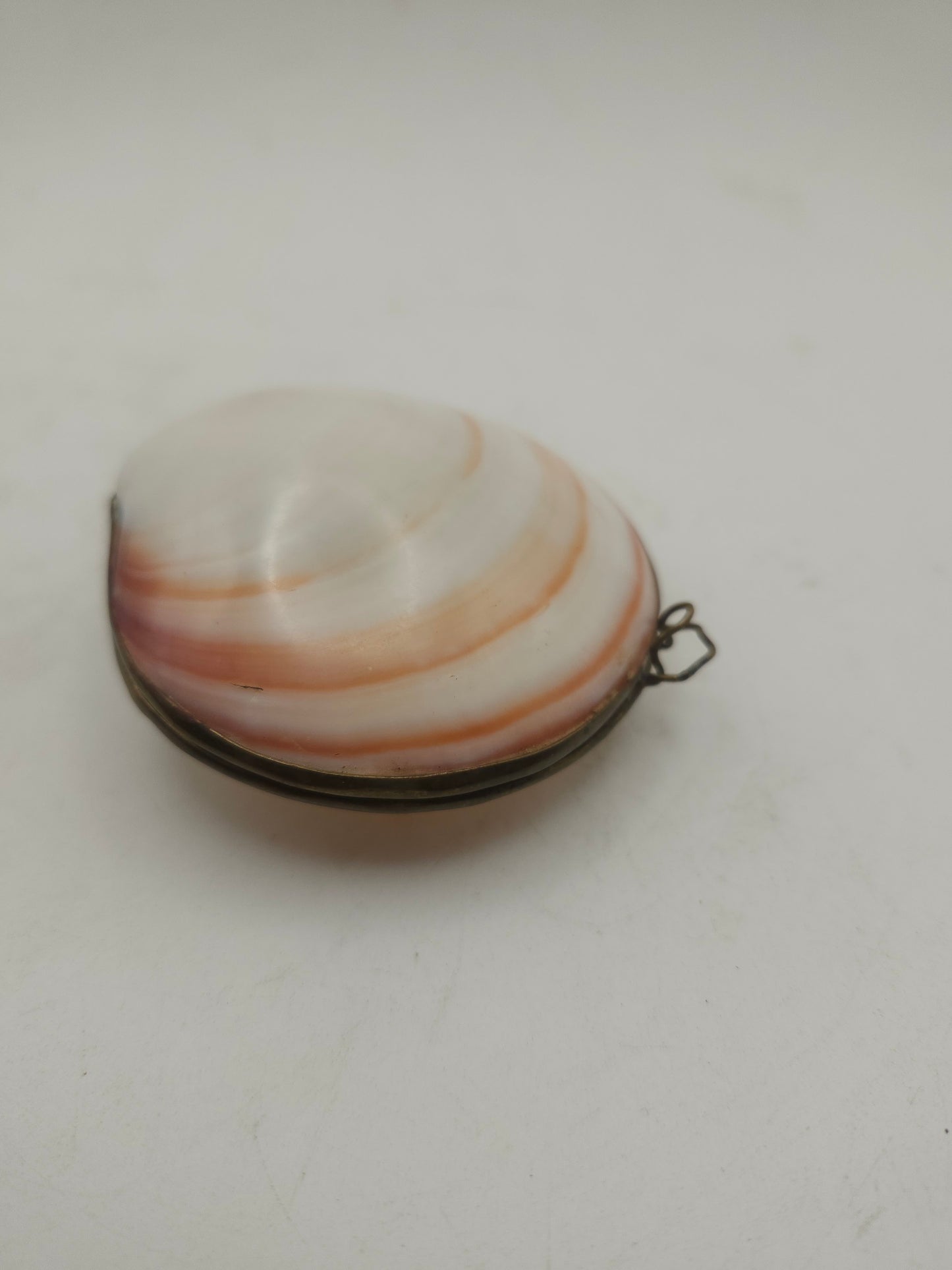*Brass* Hinged Nautical Shell Trinket Box
