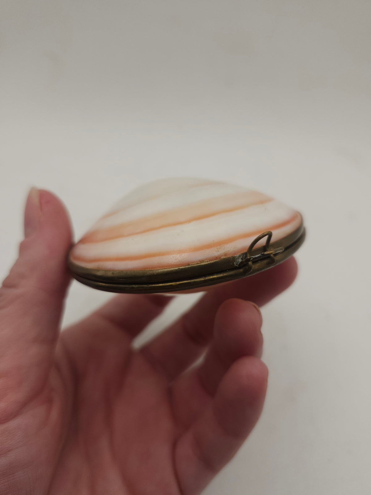 *Brass* Hinged Nautical Shell Trinket Box