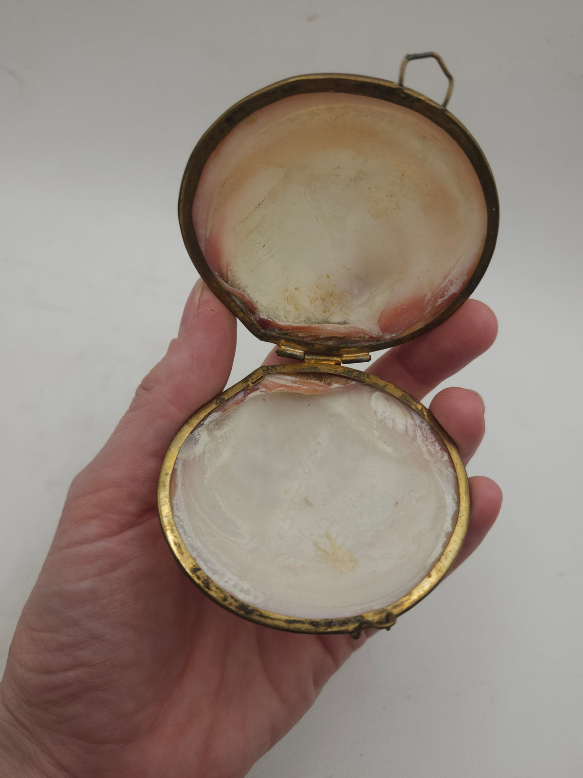 *Brass* Hinged Nautical Shell Trinket Box