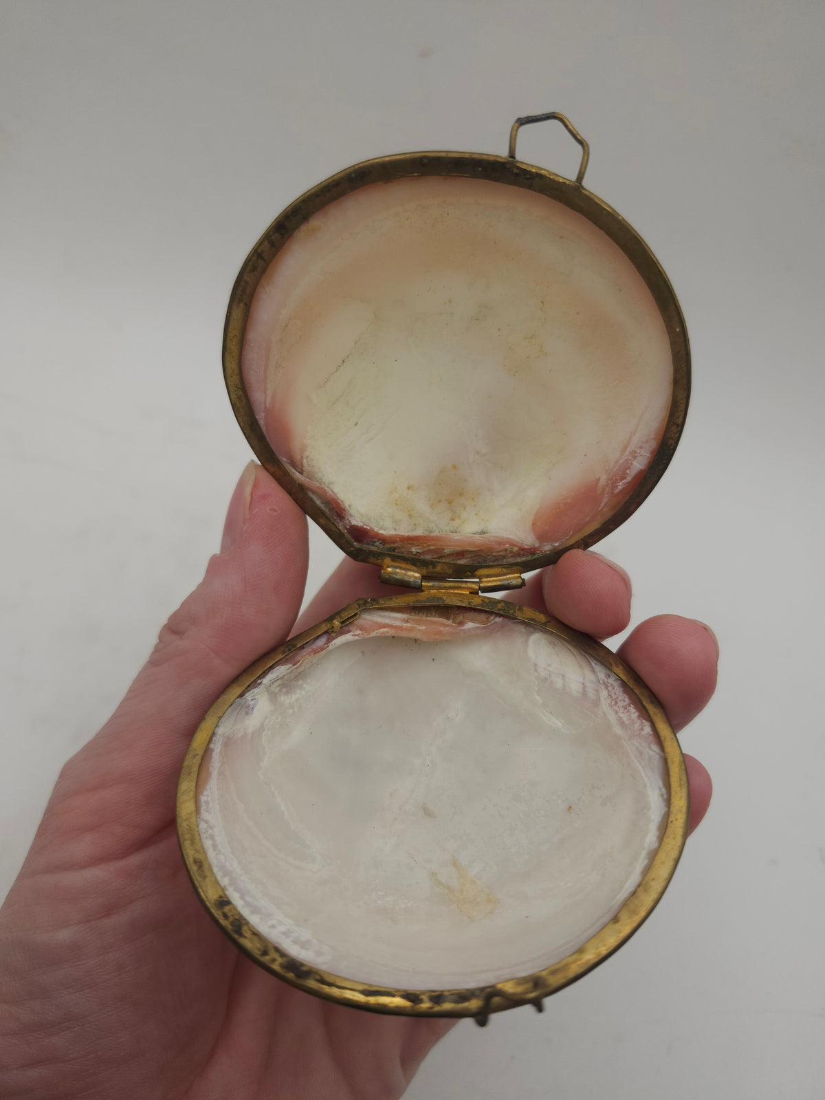 *Brass* Hinged Nautical Shell Trinket Box