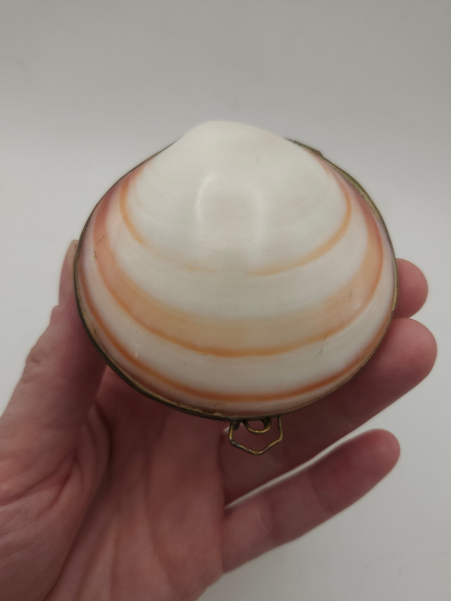 *Brass* Hinged Nautical Shell Trinket Box